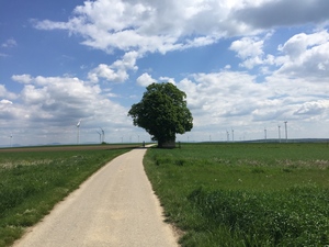Highlight 14 along the Bikemap route "Von Groß-Schweinbarth nach Dürnkrut"