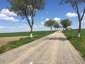 Highlight 7 along the Bikemap route "Von Groß-Schweinbarth nach Dürnkrut"