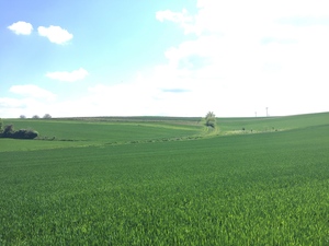 Highlight 6 along the Bikemap route "Von Groß-Schweinbarth nach Dürnkrut"