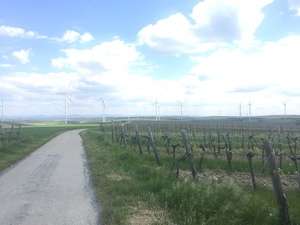 Highlight 15 along the Bikemap route "Von Groß-Schweinbarth nach Dürnkrut"