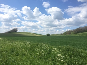 Highlight 16 along the Bikemap route "Von Groß-Schweinbarth nach Dürnkrut"