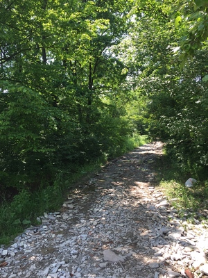 Point fort 4 sur l’itinéraire Bikemap « Cernica Miercuri Nod »