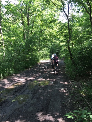 Point fort 1 sur l’itinéraire Bikemap « Cernica Miercuri Nod »