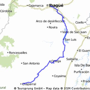 tolima1ibaguechaparral142