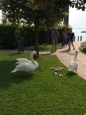 Punto saliente 1 lungo il percorso Bikemap "Aufnahme vom 14.05.2016, 17:31"