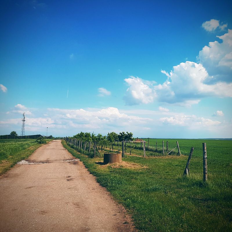 Brno - Židlochovice - Dolní Věstonice - Lednice - Břeclav