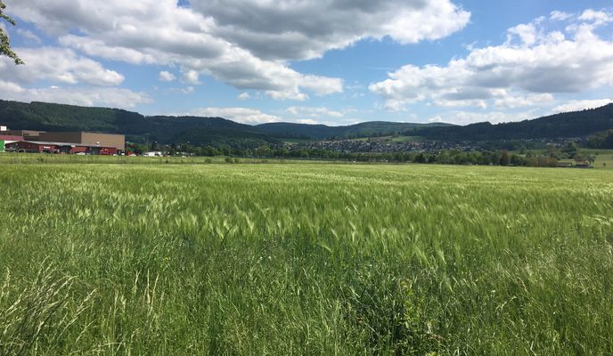Foto 1 der Bikemap-Route "ride through Reinach (BL)"