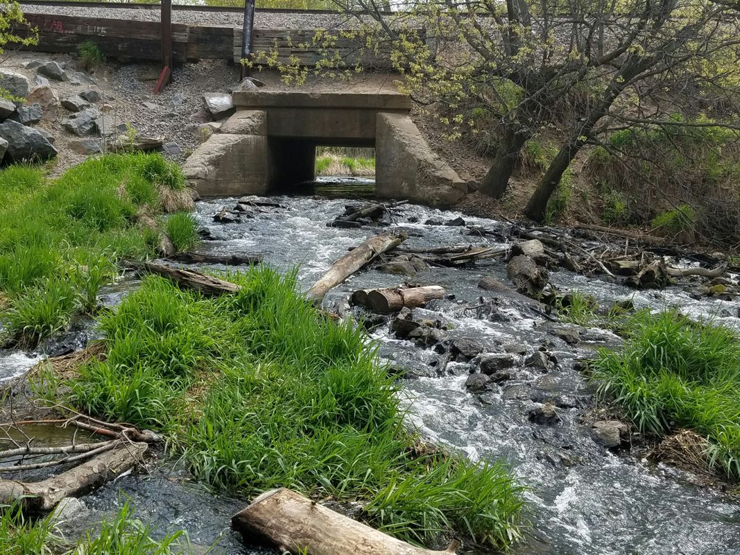 bike tour through Coon Rapids