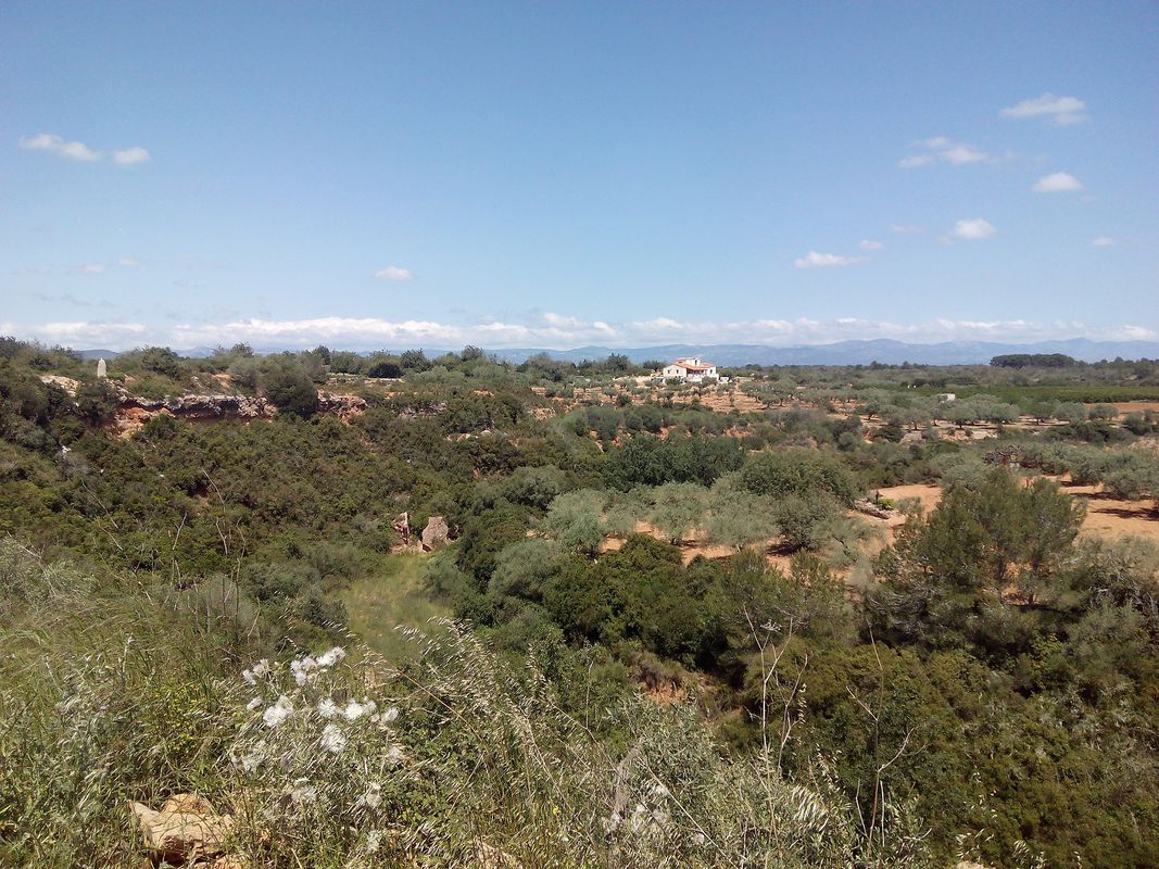 Bnicarlo-Calig-Sant Jordi and back