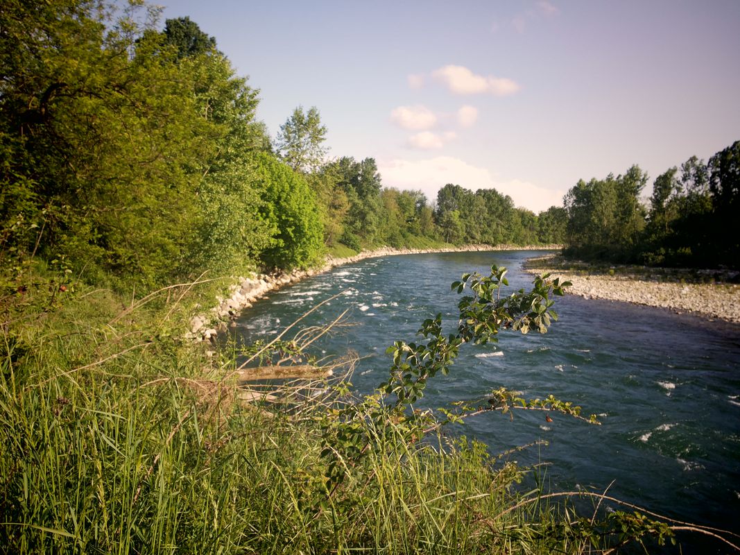 treviglio rivolta via adda e muzza