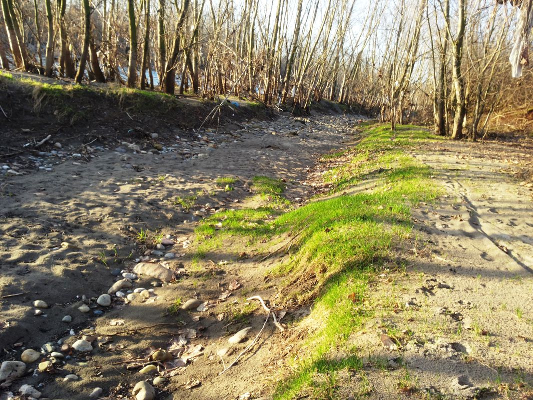 treviglio rivolta via adda e muzza