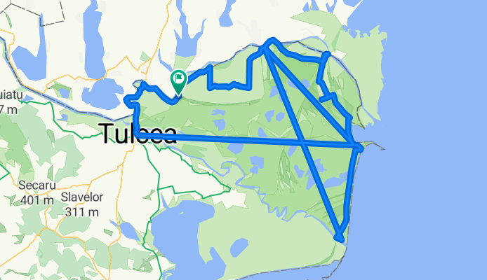 delta 2016 dan mazilu