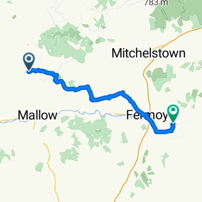 TRIP 10 F deel 2 MILLSTREET - COOLAGOWN
