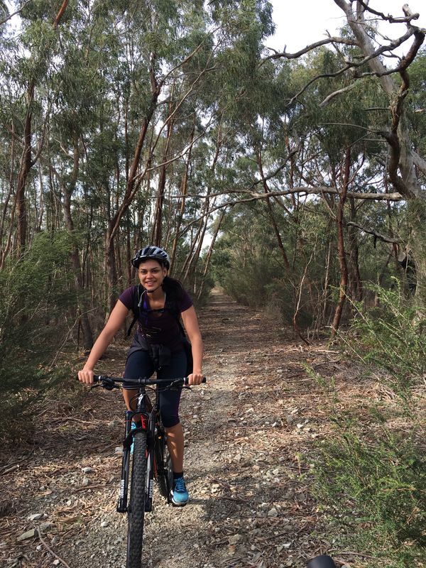 ride through the pines