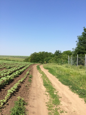 Highlight 1 along the Bikemap route "ride from (null) to (null)" Highlight 1 along the Bikemap route "ride from (null) to (null)"