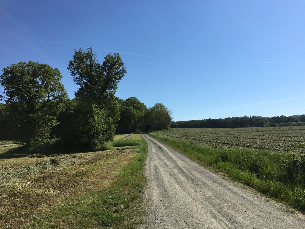 Lange Radrunde durch Lackendorf