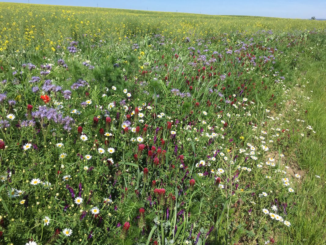 Lange Radrunde durch Lackendorf