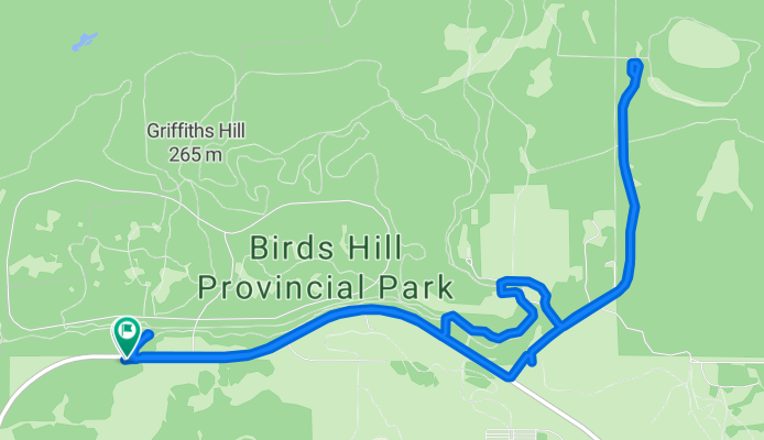 Short bike tour through Birds Hill
