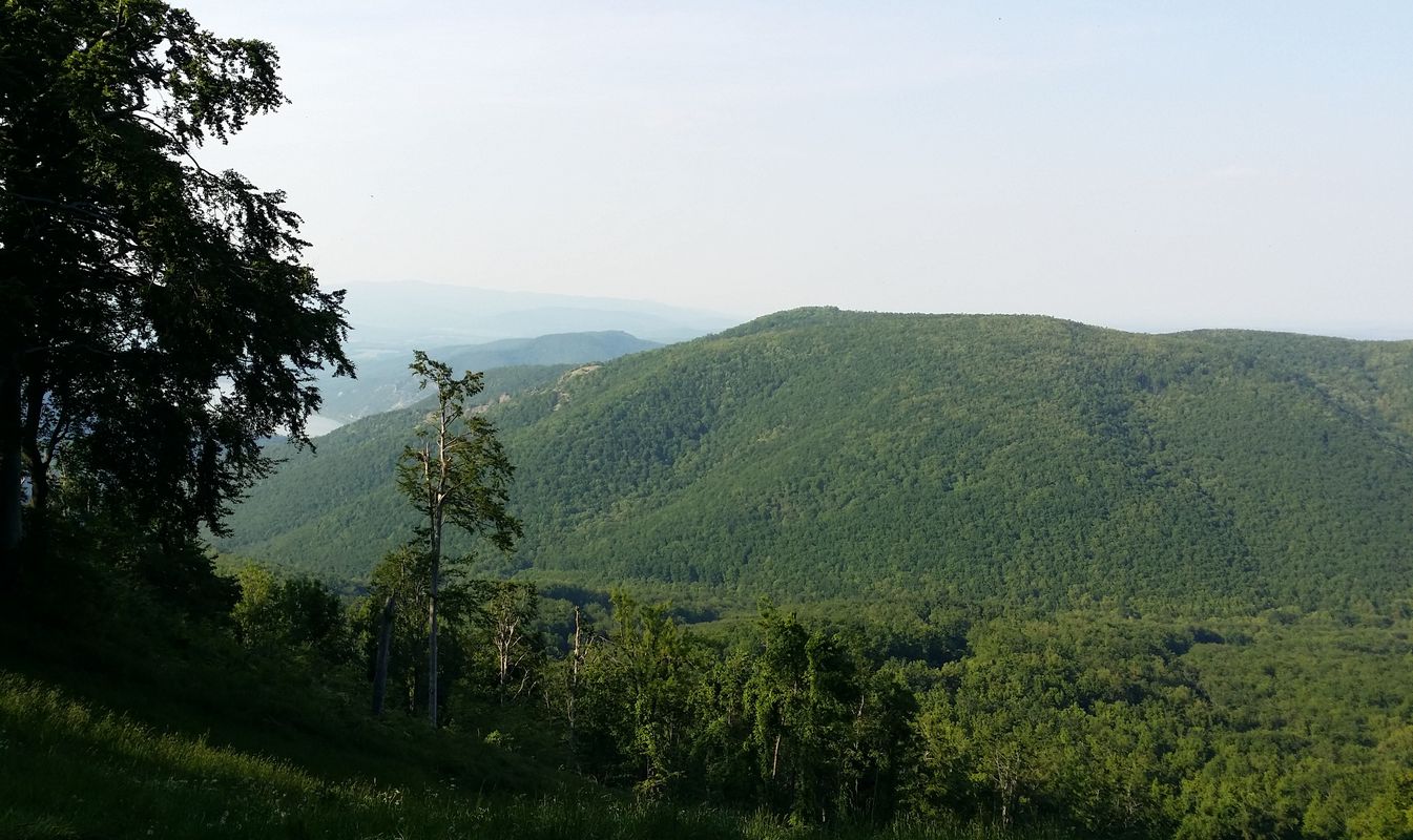 Pilisi két csúcs Borival