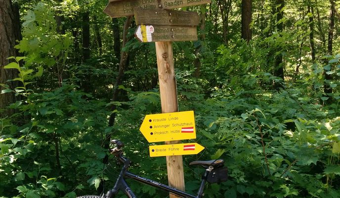 Foto 1 der Bikemap-Route "Wien - Baden"