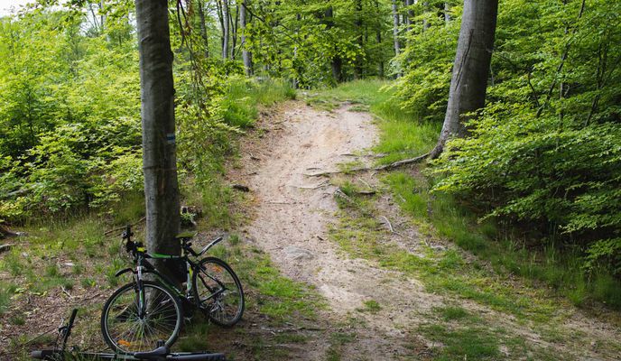 Foto 1 der Bikemap-Route "Wrzescz-Oliwa-Gdynia via forest"