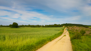 Highlight 2 along the Bikemap route "Sosina 27 maja, 17:27"