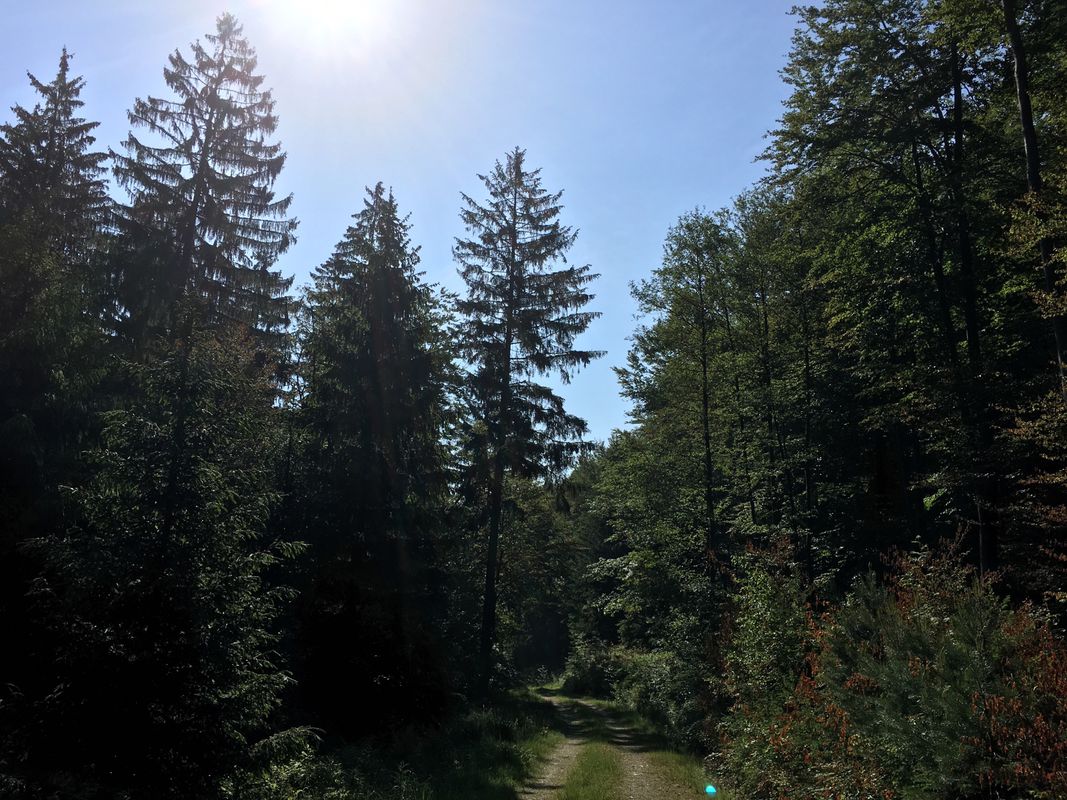 Radtour nach Landsee