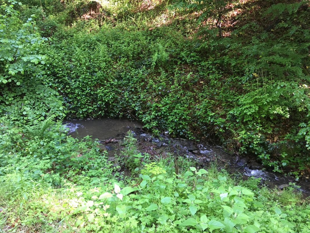 Radtour nach Landsee