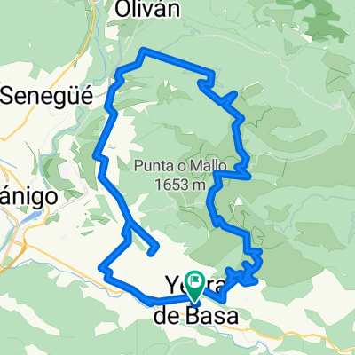 Yebra de basa