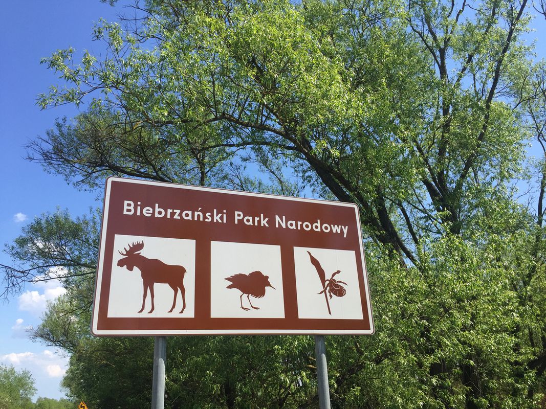 Long ride through Trzcianne