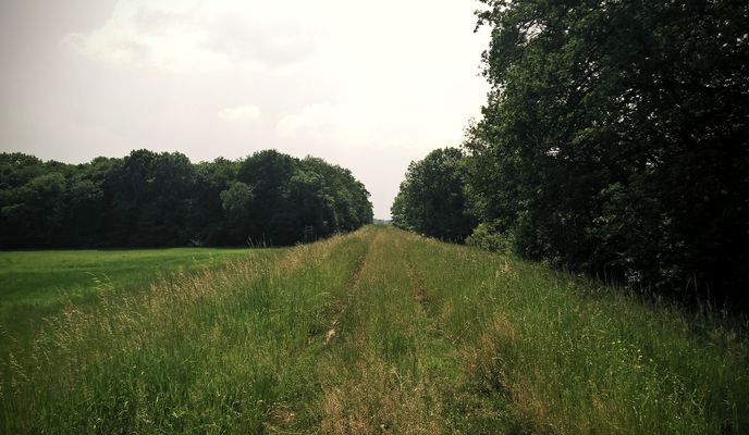 Foto 2 de la ruta de Bikemap "Środa Śląska - Odra - Lubiatów - Rezerwat Zabór"