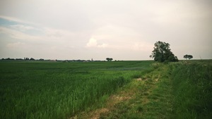 Destacado 8 en la ruta de Bikemap "Środa Śląska - Odra - Lubiatów - Rezerwat Zabór"