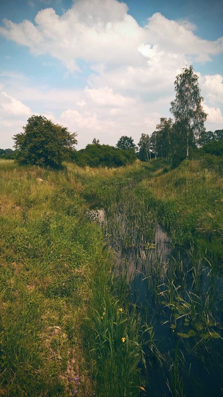 Środa Śląska - Odra - Lubiatów - Rezerwat Zabór