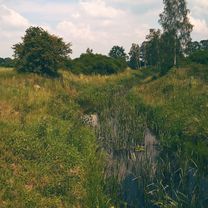 Środa Śląska - Odra - Lubiatów - Rezerwat Zabór