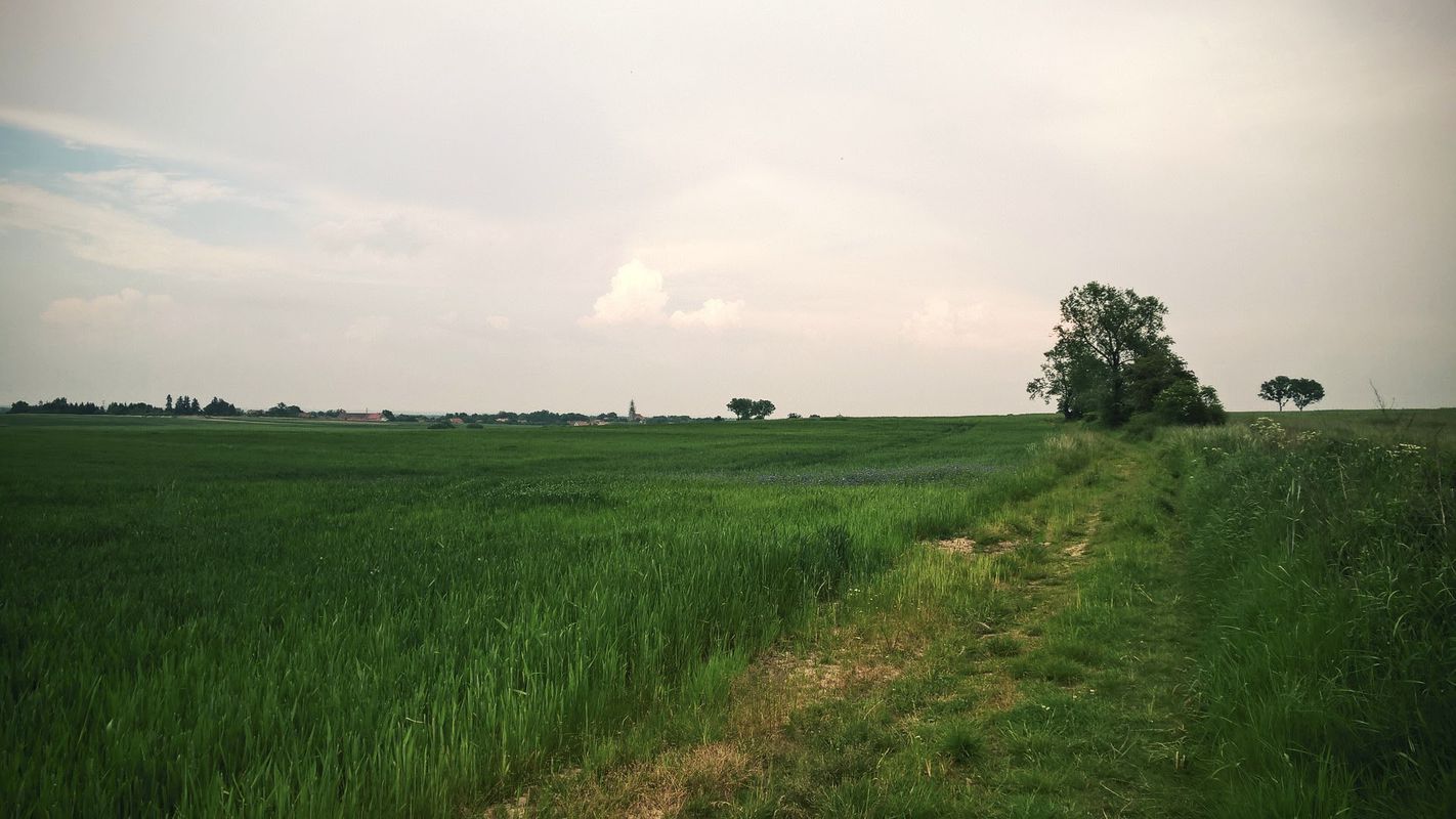 Środa Śląska - Odra - Lubiatów - Rezerwat Zabór