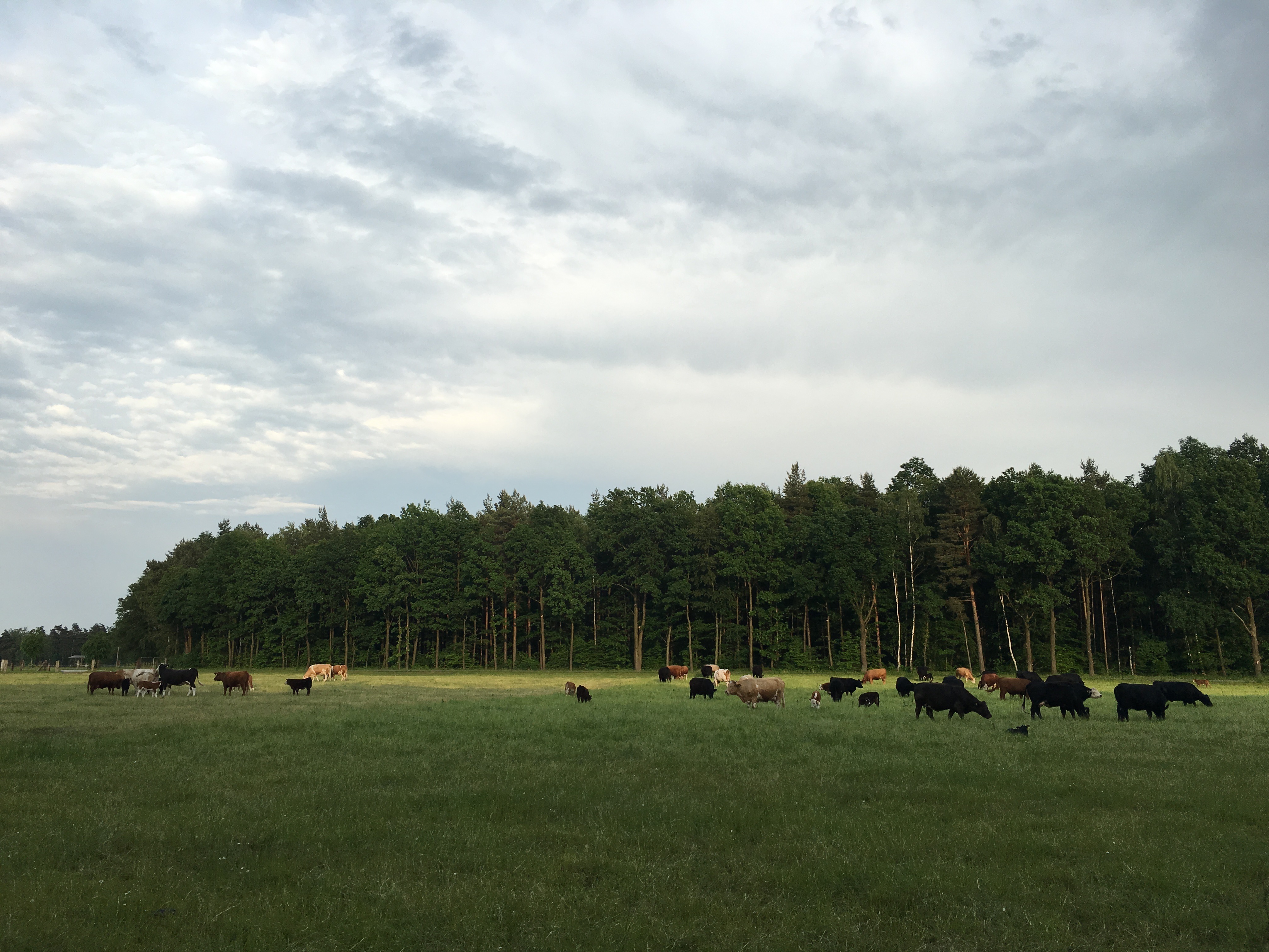 Teiche, Wälder, Hügel …