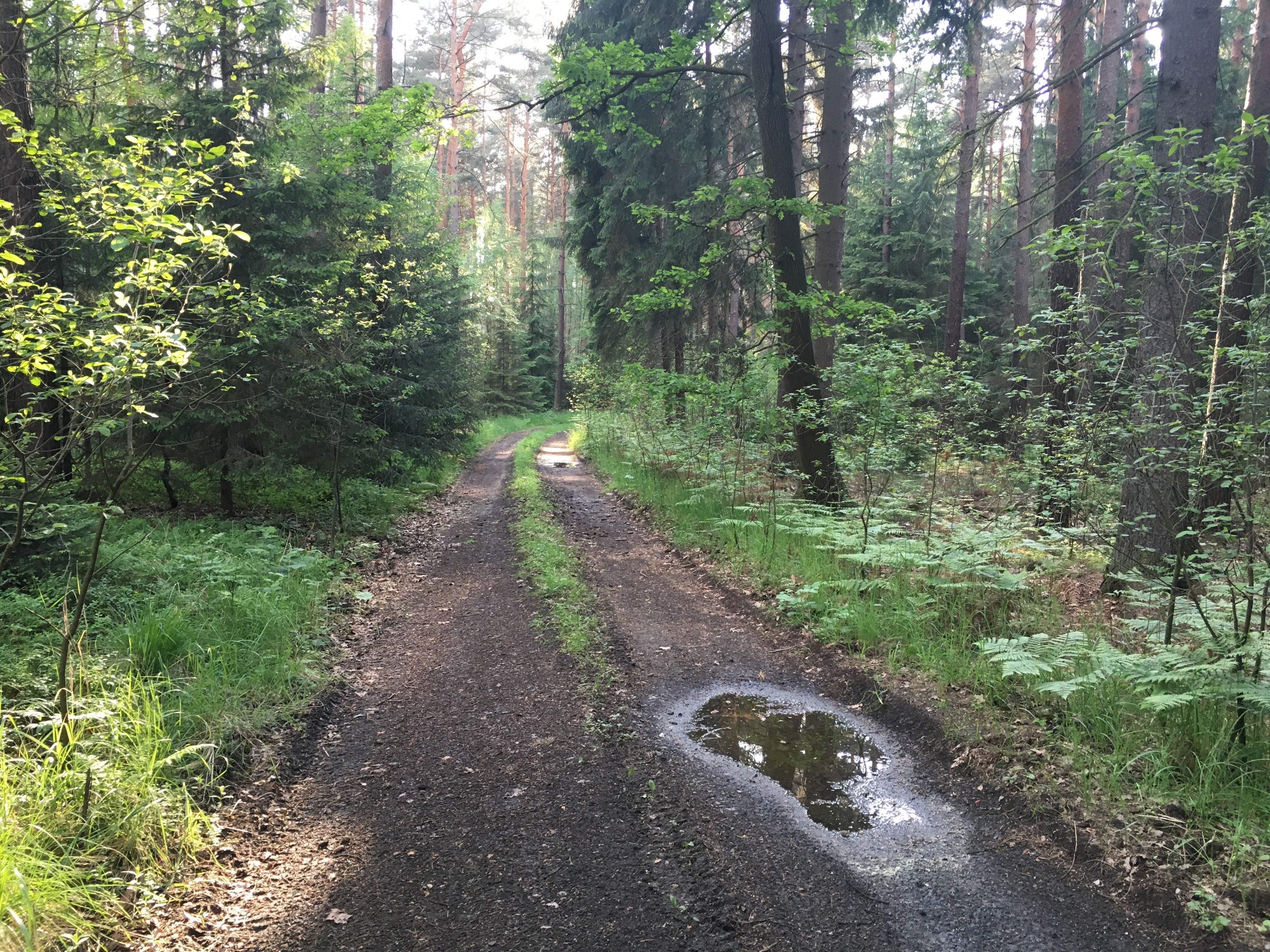 Teiche, Wälder, Hügel …