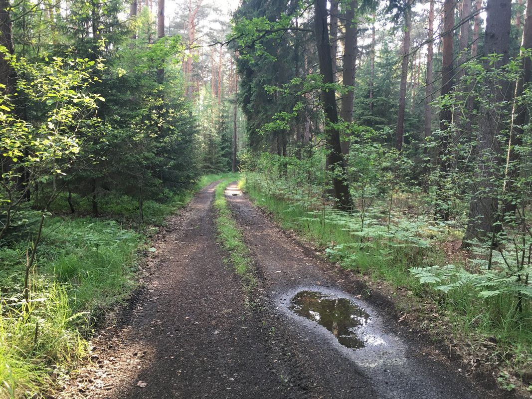 Teiche, Wälder, Hügel …