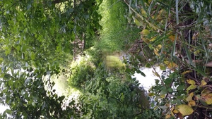 Point fort 1 sur l’itinéraire Bikemap « Lengthy ride through Burnt Bridge Creek trail »