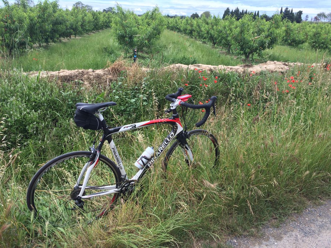 Lengthy bike tour through Laroque d’Alberes