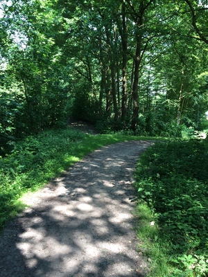 Hebe Bild 4 entlang der Bikemap-Route "Radwanderbahndamm Lohne ~ Dinklage" hervor