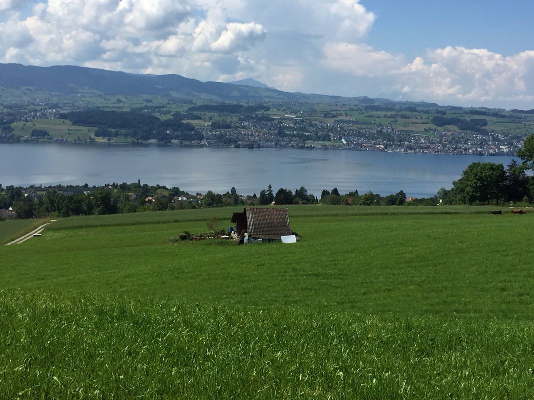 Ebmatingen  - Lützelsee