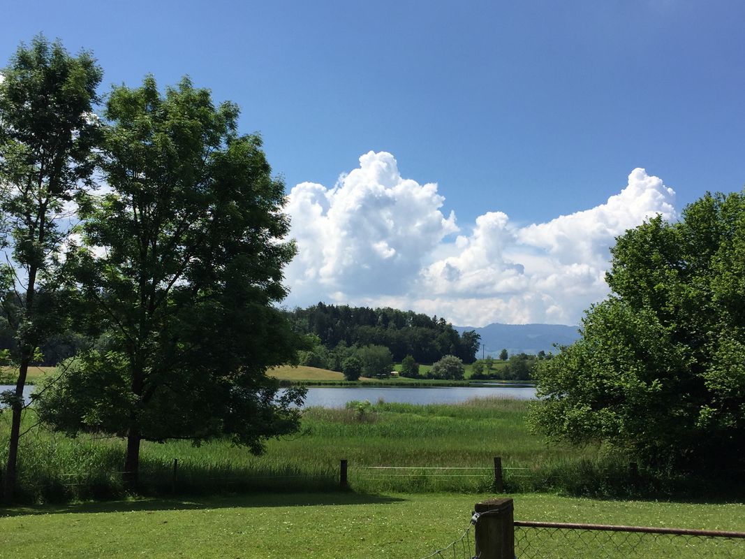 Ebmatingen  - Lützelsee