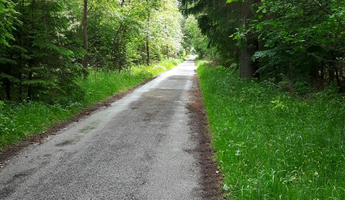 Photo 1 of the Bikemap route "Kurze Radtour Forstenrieder Park"