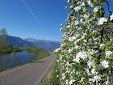 🚴‍♀️E*Bike🇮🇩  Meran - Bozen