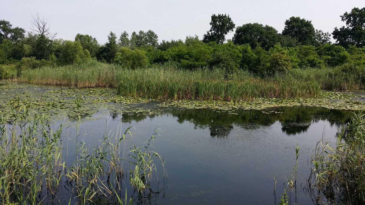 Pe malul Begai si prin Viile Recasului