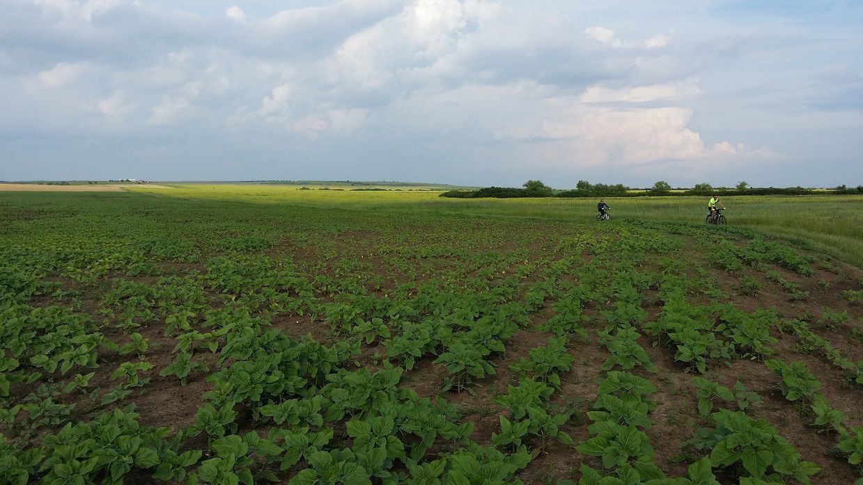 Pe malul Begai si prin Viile Recasului