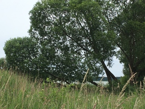 Point fort 4 sur l’itinéraire Bikemap « 12062016 Neukloster »