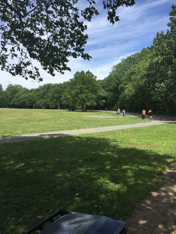 Van Courtland To Tibbetts Brook Park
