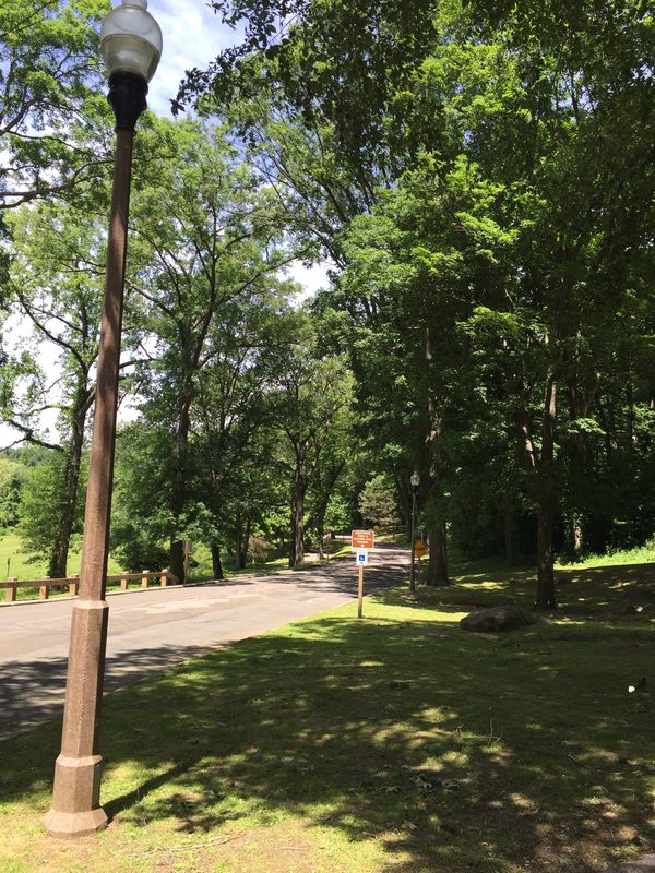 Van Courtland To Tibbetts Brook Park